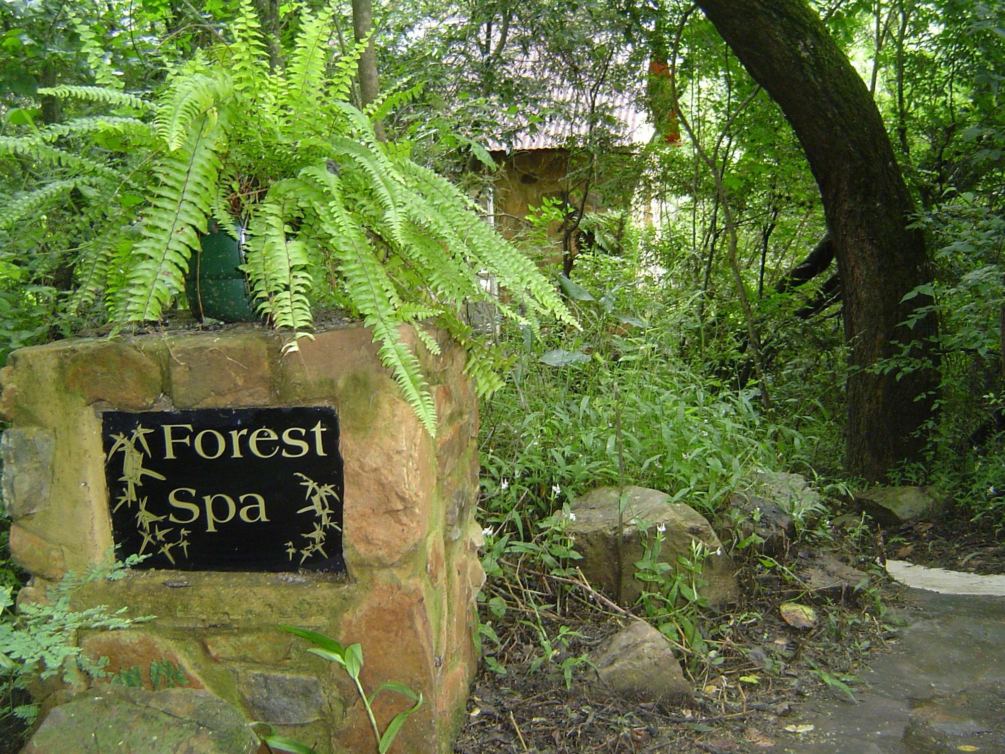 Forest Creek Lodge & Spa Даллструм Экстерьер фото